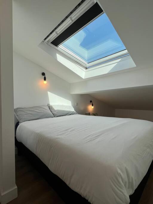 Le Belfort - Grand T2 Climatise En Hyper Centre 圖盧茲 外观 照片